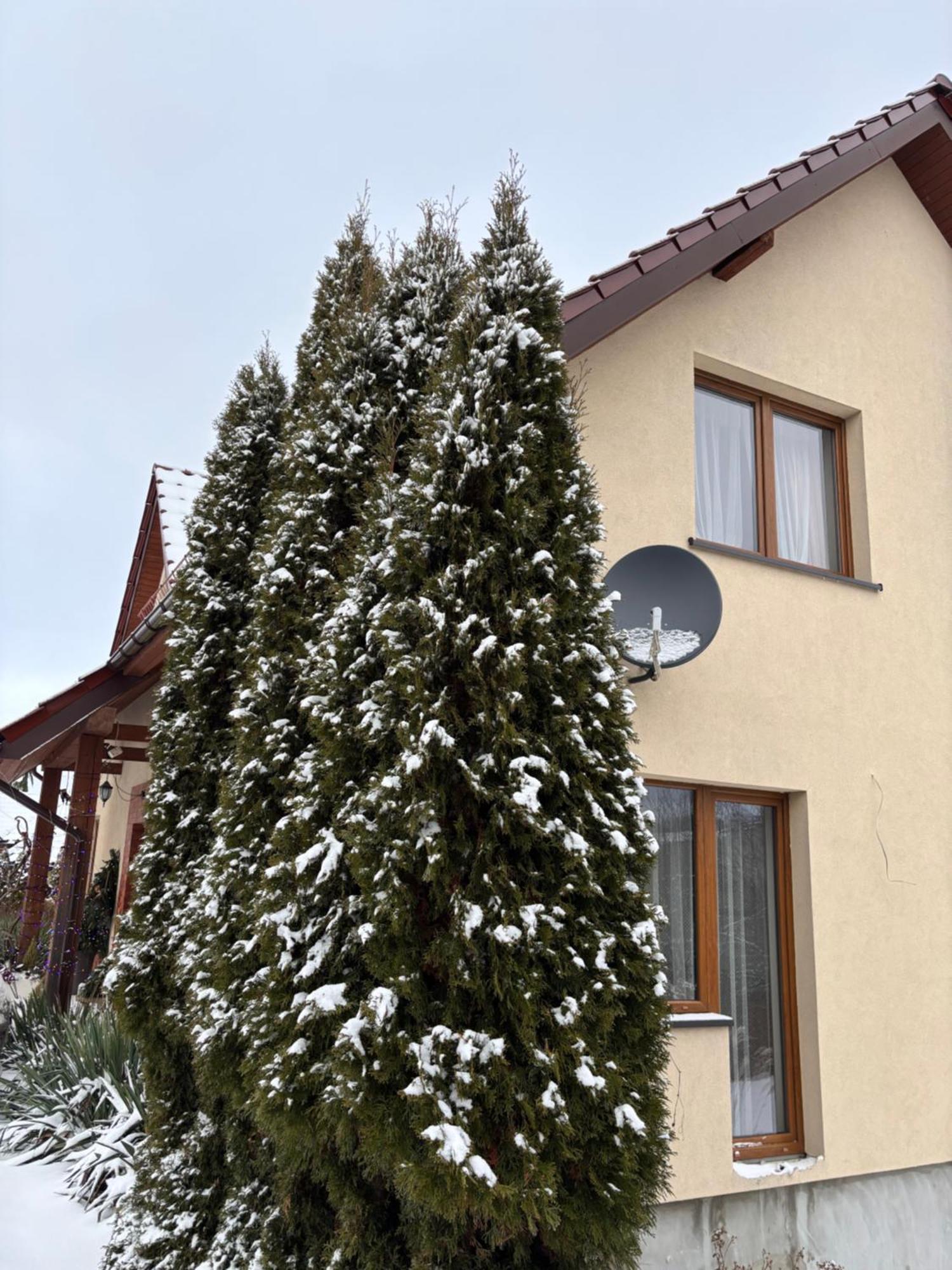 Ferienwohnung Wisniowy Sad Bad Kudowa Exterior foto